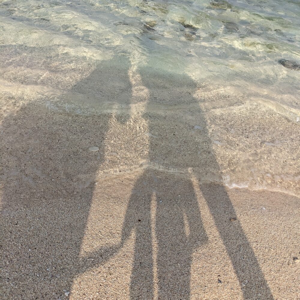 家族の影
