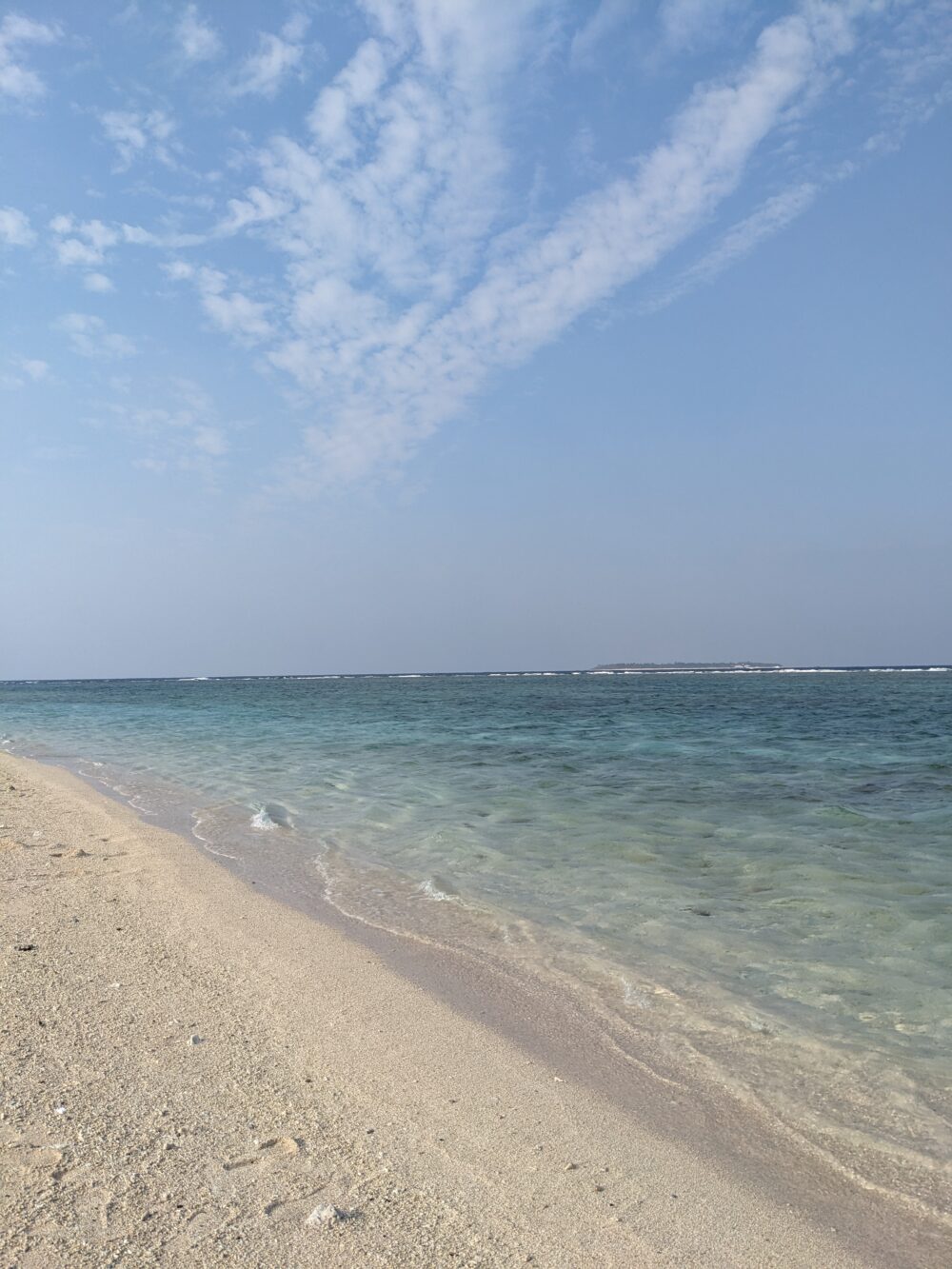 沖縄の海